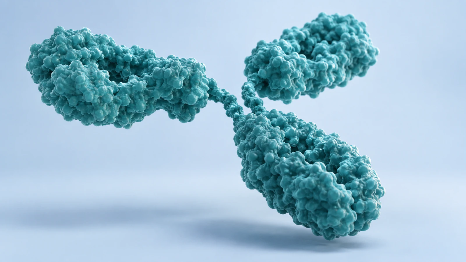 A complete teal IgG-like antibody is viewed obliquely on pale blue, keeping two arms and the stem visible.