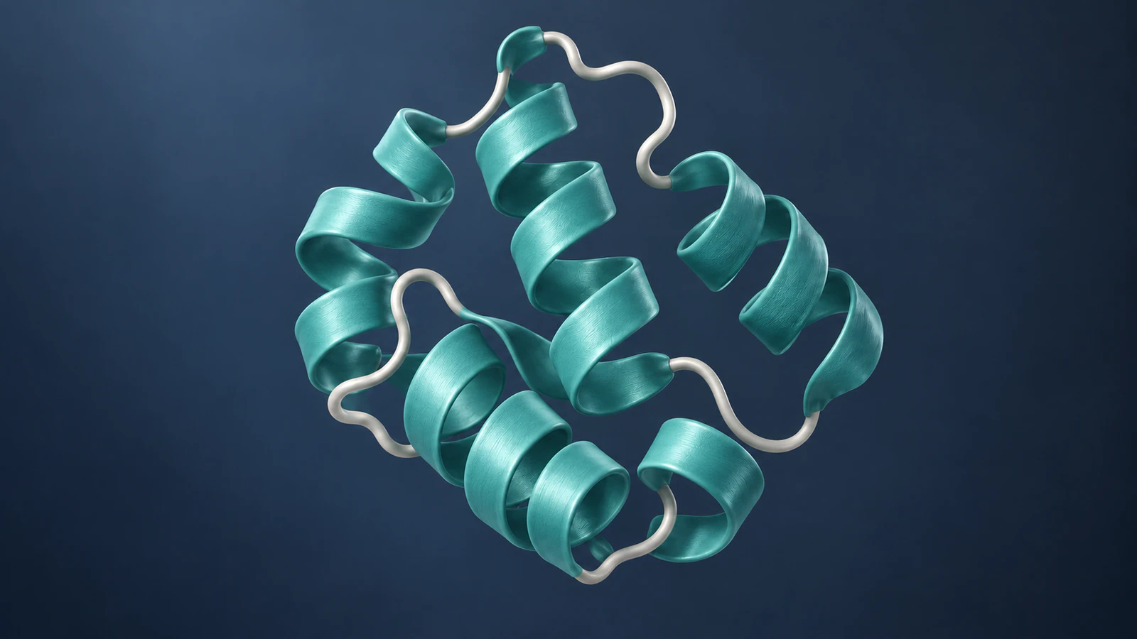 Conceptual compact teal protein ribbon with silver loops showing local folded architecture