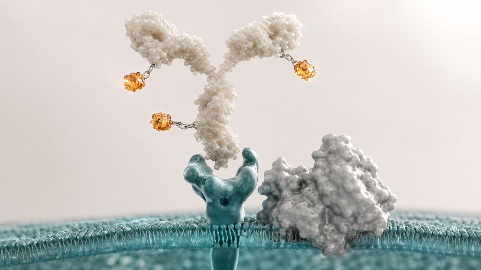 Wide 3D render of a modular antibody drug conjugate above a teal membrane receptor and silver protein surface.