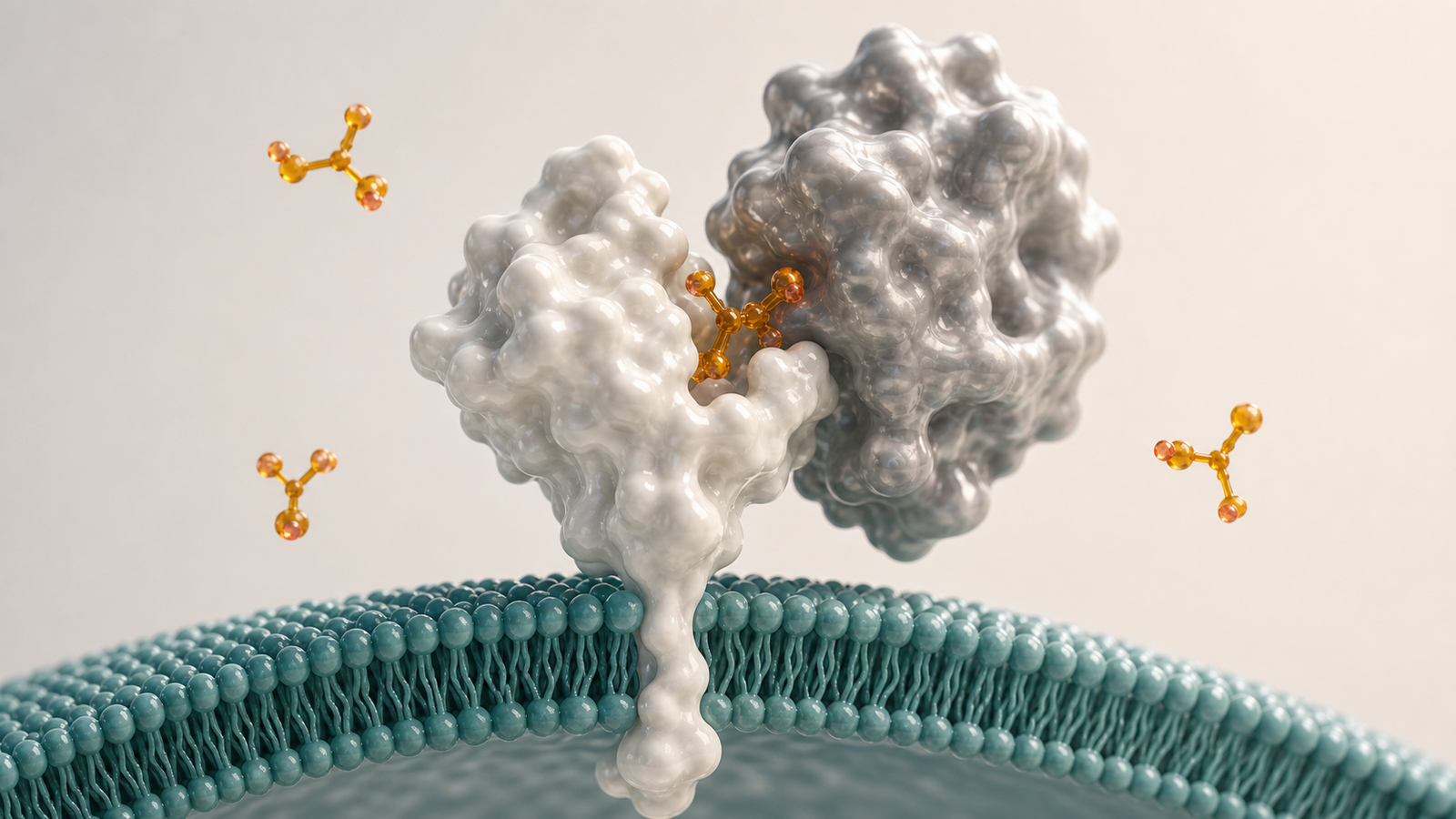 Wide 3D render of a teal cell membrane with pearl receptor proteins and warm amber biomarker molecules.