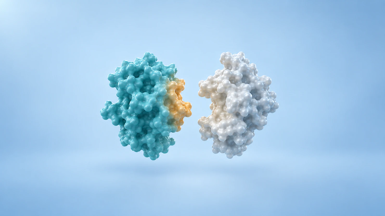 Separate teal and pearl protein surfaces face a narrow gap with an amber inspection patch.