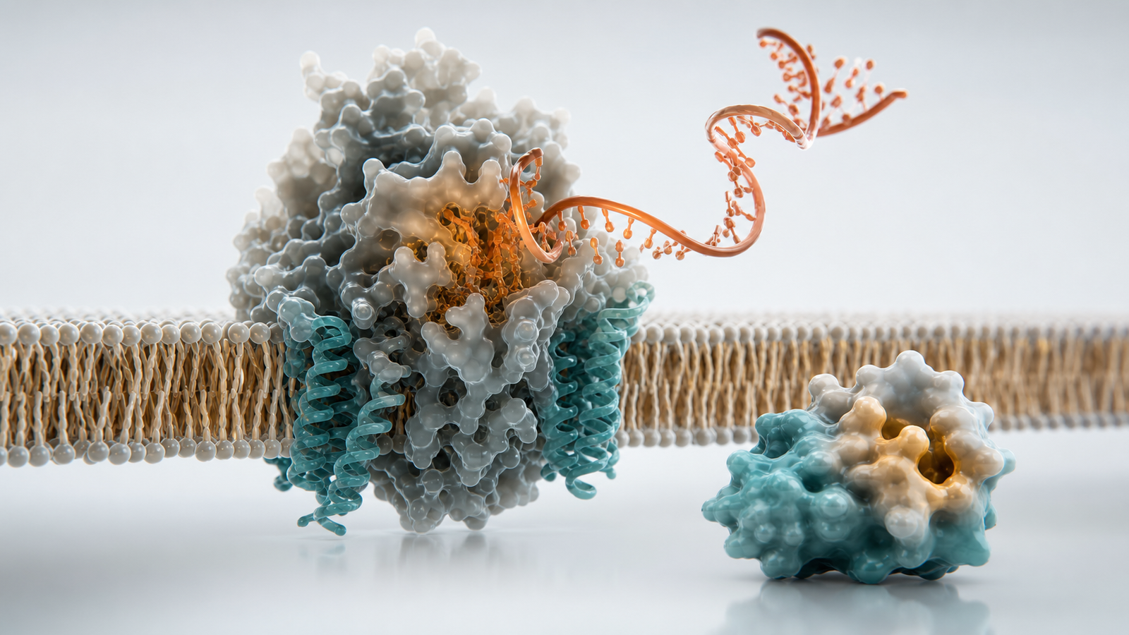 Biotech Product Launch Animation Services: How To Turn New Science Into A Buyer Ready Campaign