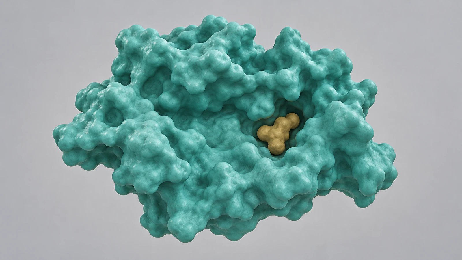 Overhead conceptual view of a shallow protein pocket containing one small ochre ligand
