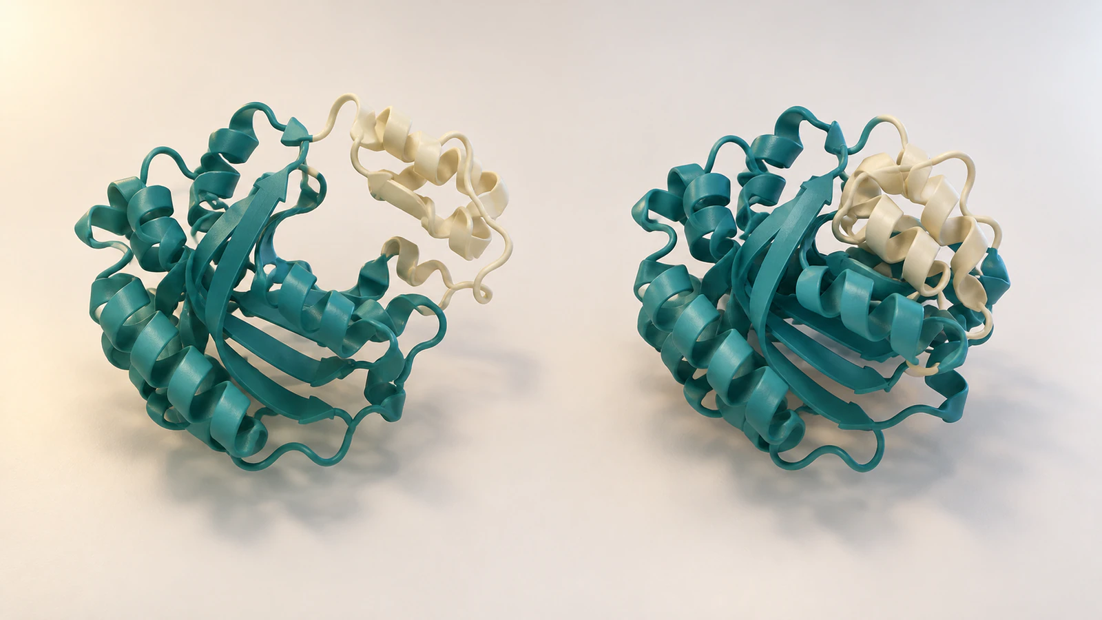 Two separate teal and pearl conceptual ribbon models with open and compact clefts on a pale desk