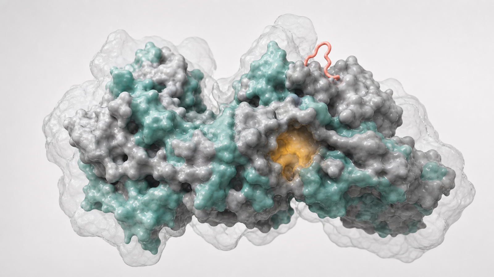Wide 3D render of a protein complex showing overlapping conformational states in cryo-EM density.