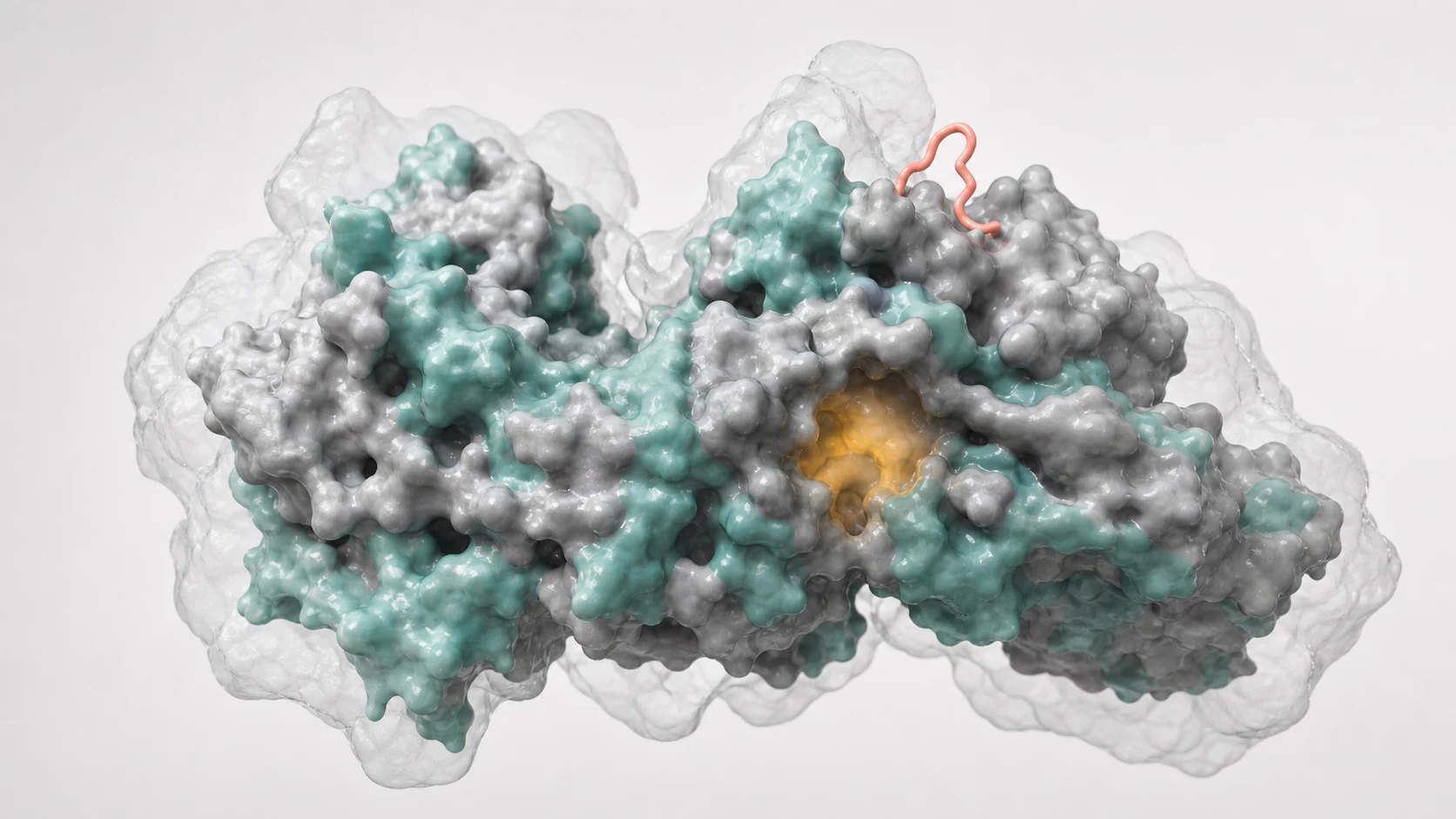 Wide 3D render of a protein complex showing overlapping conformational states in cryo-EM density.