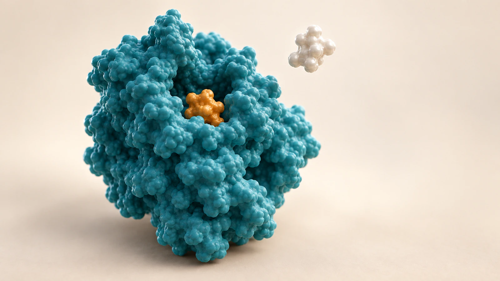 Amber inhibitor occupies a teal enzyme cleft while a pearl substrate remains outside the site with a visible gap.