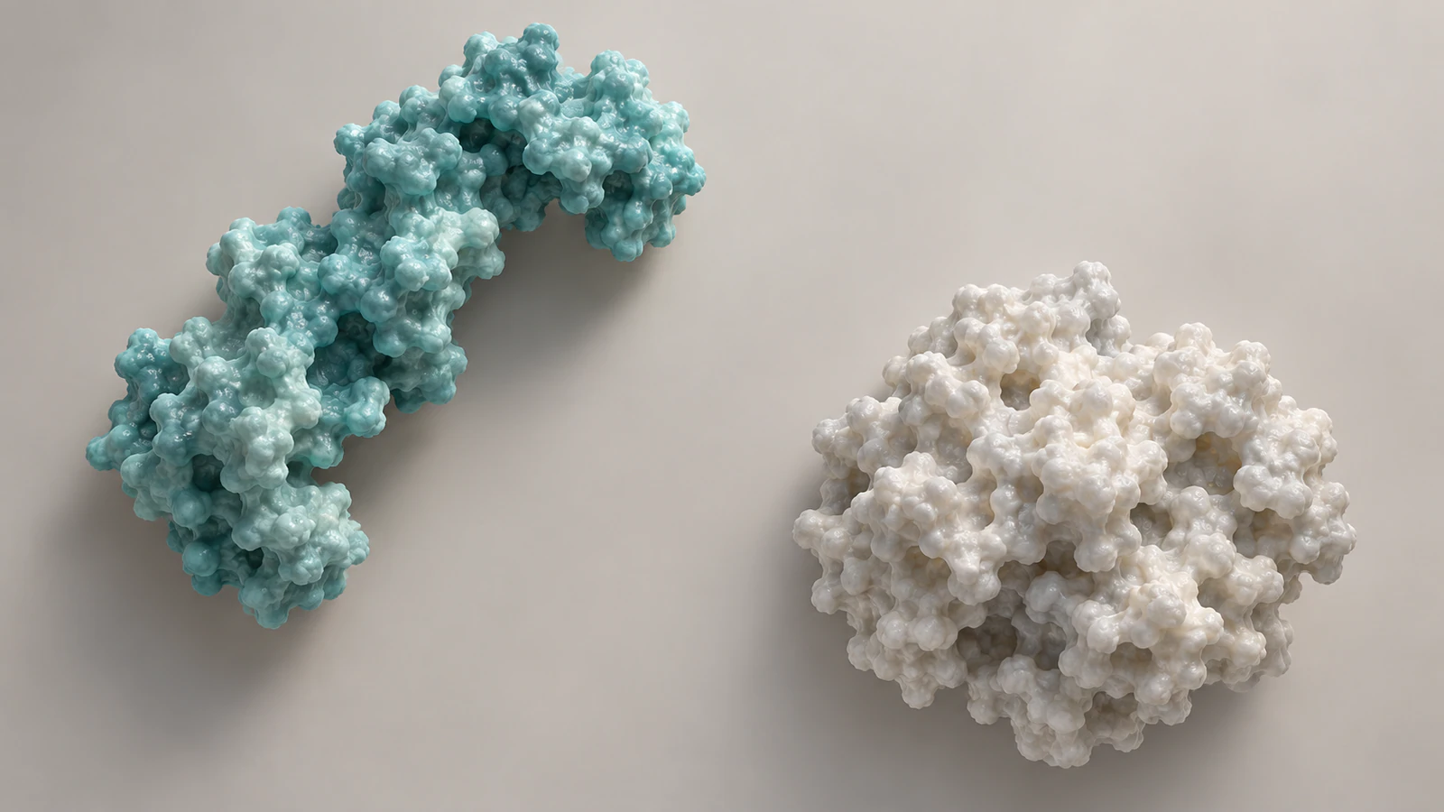 Slender curved teal protein-like surface and broad compact pearl surface have visibly different silhouettes.