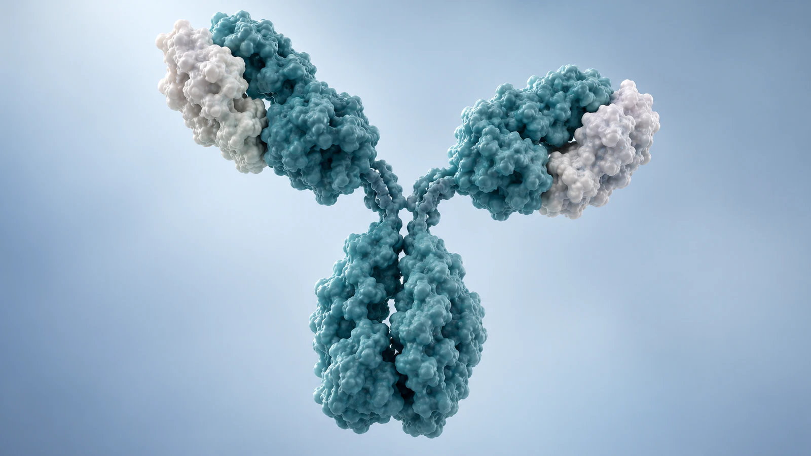 Conceptual Y-shaped antibody with teal heavy-chain regions and pearl light-chain regions