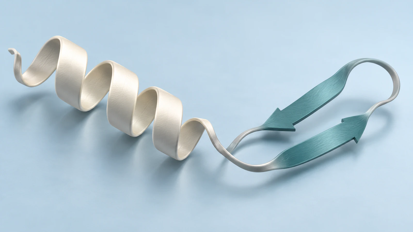 Conceptual ribbon fragment showing an alpha helix and two beta strands connected by a loop