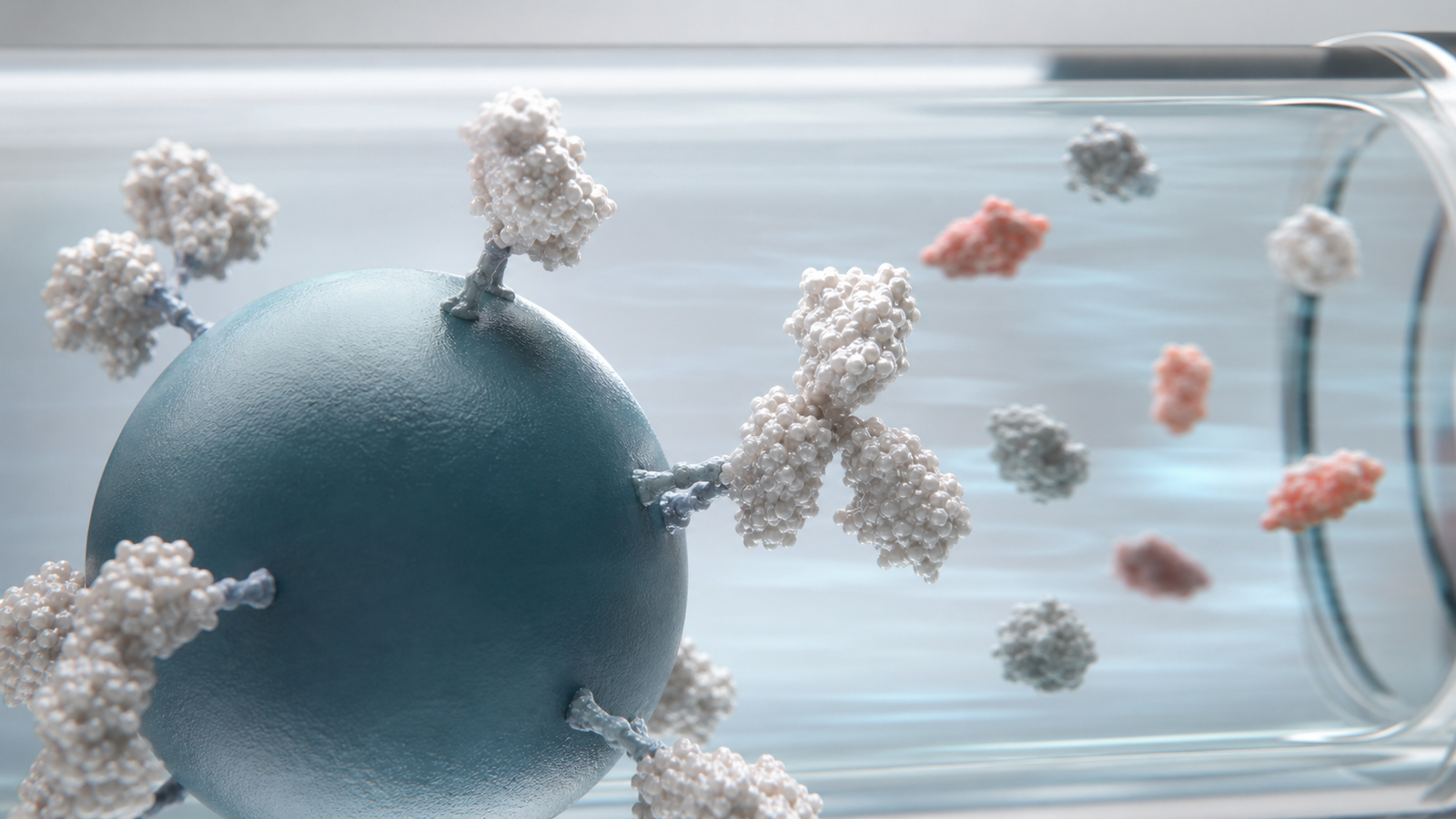 Premium 3D render of proteins binding selectively to a chromatography resin bead during purification capture.