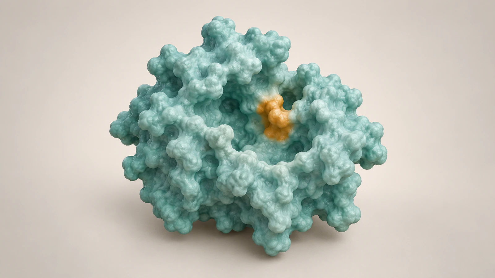 Conceptual pale teal protein surface with an amber patch inside a visible cavity.