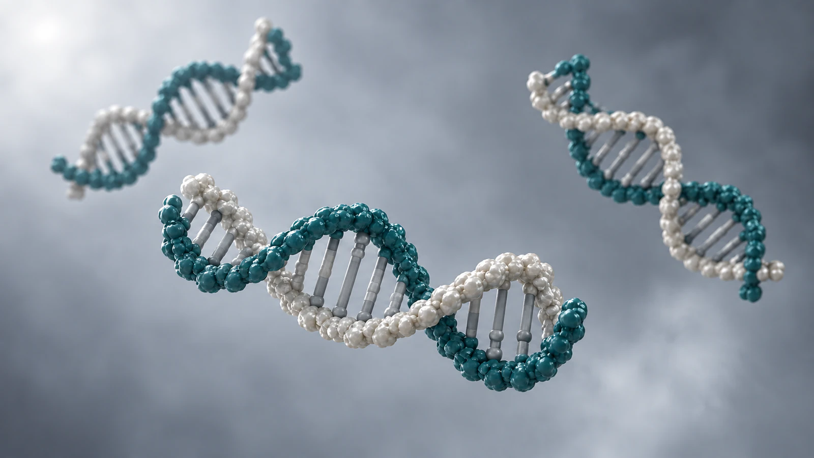 Three separate teal and pearl DNA duplex fragments at different depths against a mist-gray background.