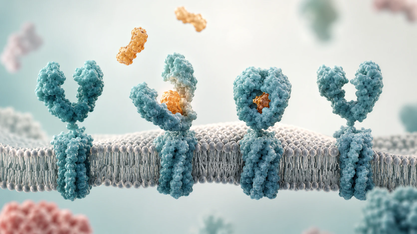 Wide 3D receptor occupancy render showing therapeutic molecules binding membrane receptors.