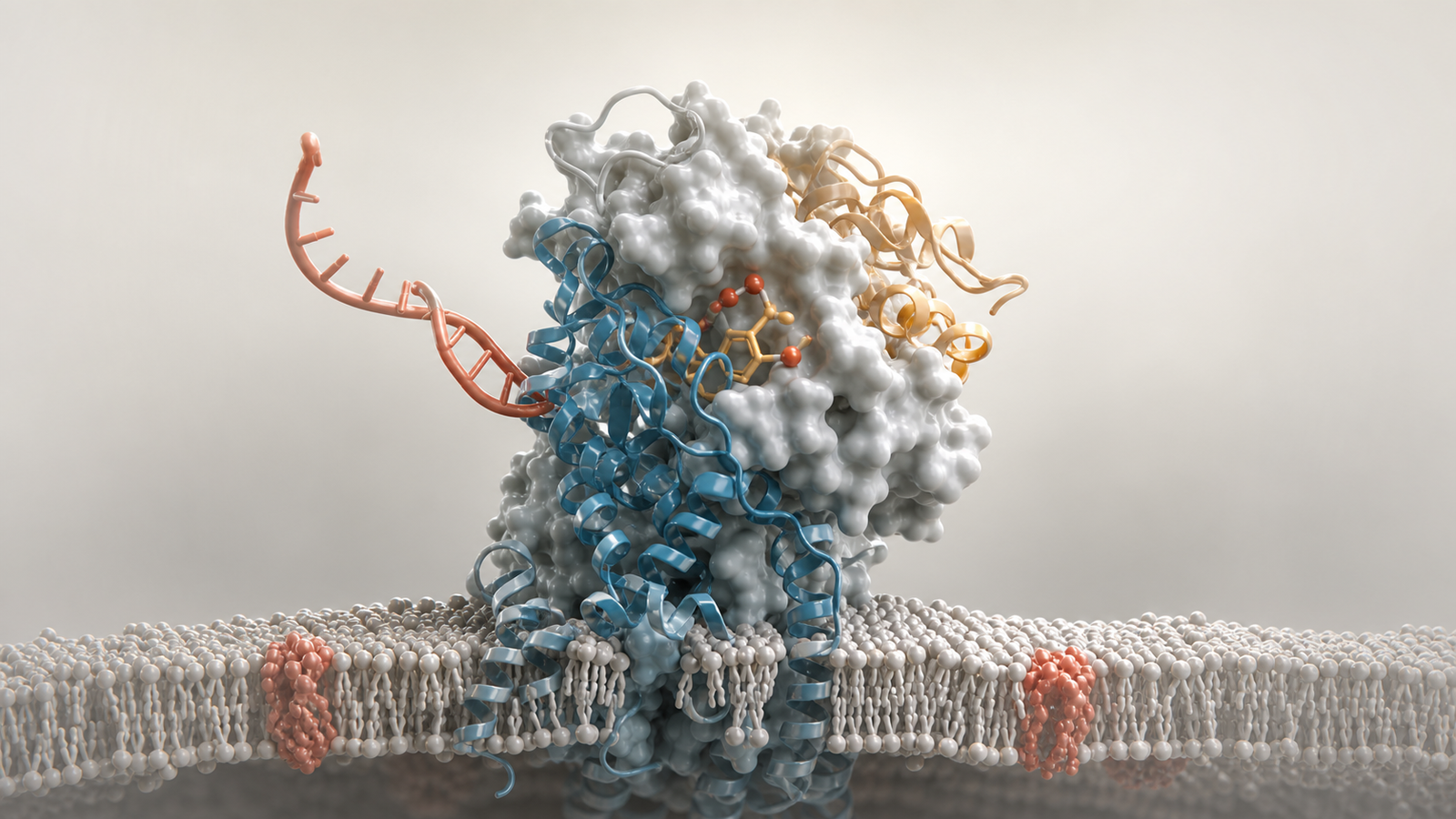 Scientific Animation Services For Biotech: How To Turn Mechanisms Models And Data Into Buyer Ready Visuals