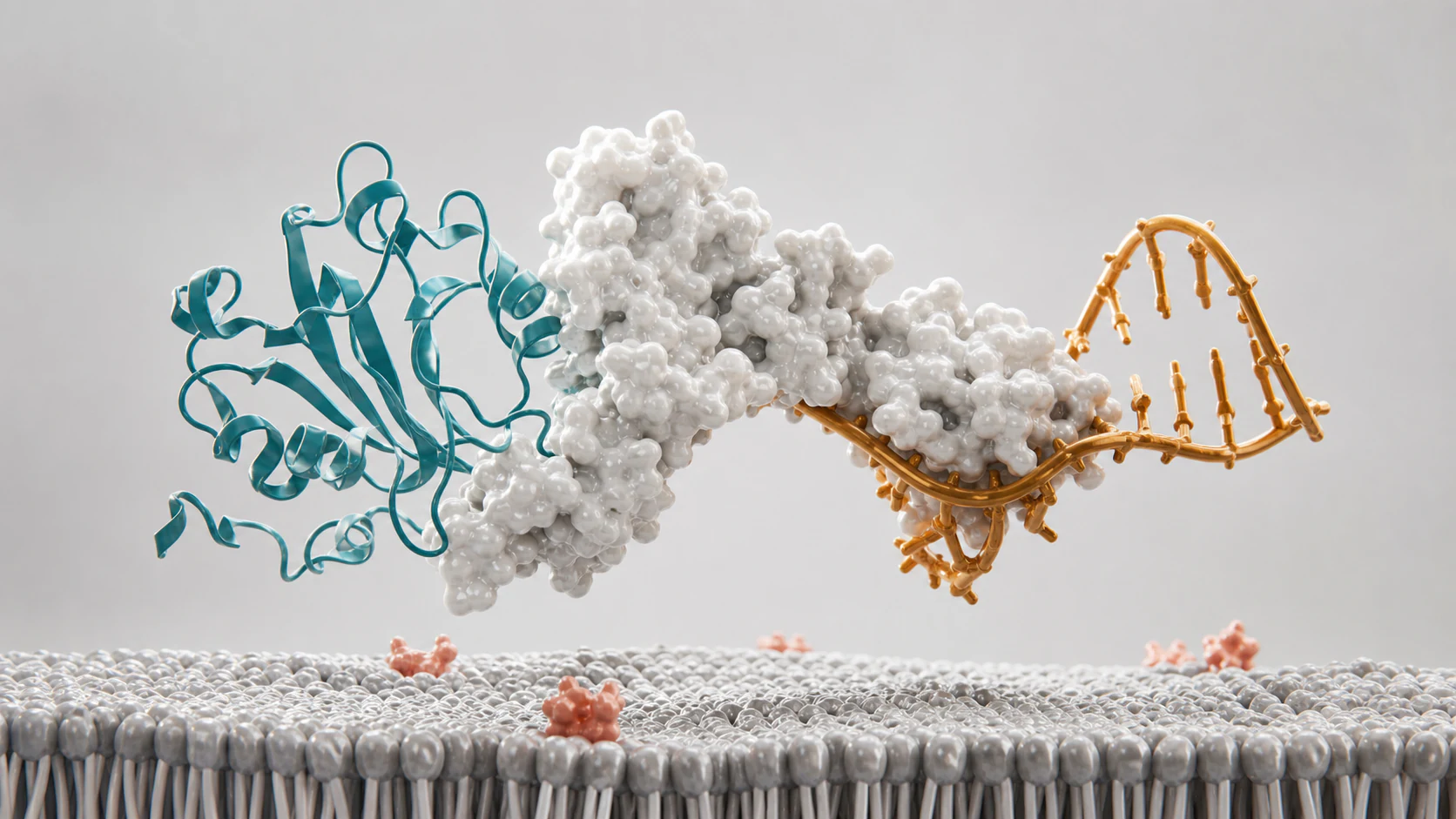 Wide 3D scientific render of a central protein and RNA platform subject above a clean cell membrane.