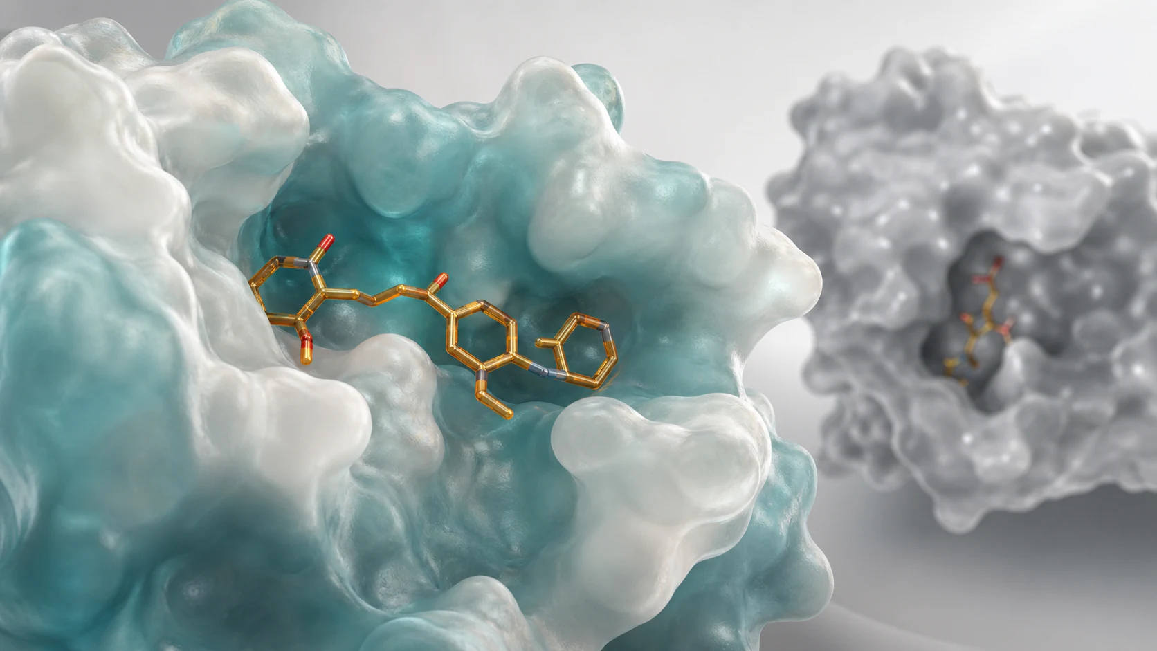 Wide 3D render of a ligand fitting one target pocket while a de-emphasized off-target pocket sits in the background.