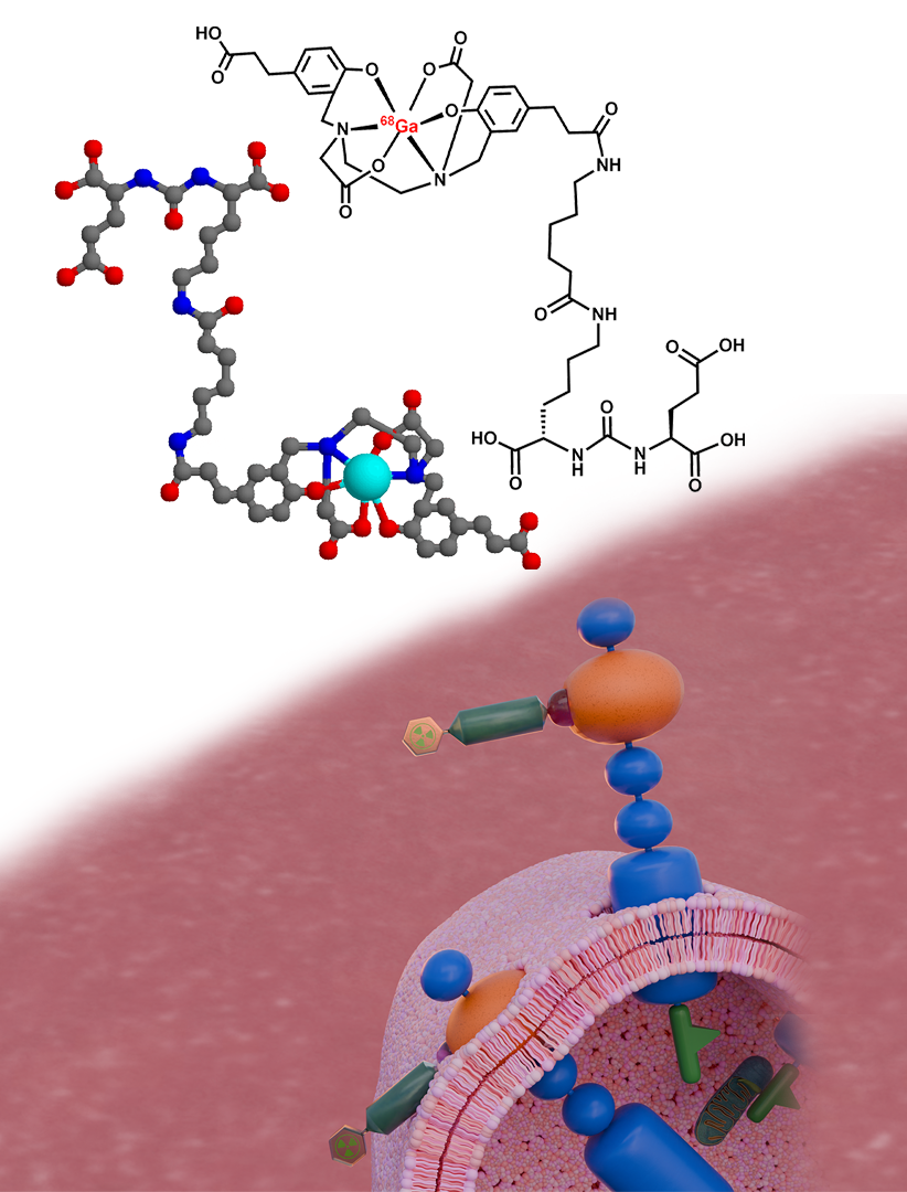 Detailed Molecular Structure Mobile