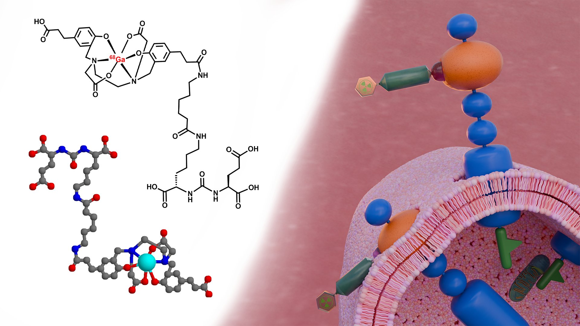 Detailed Molecular Structure